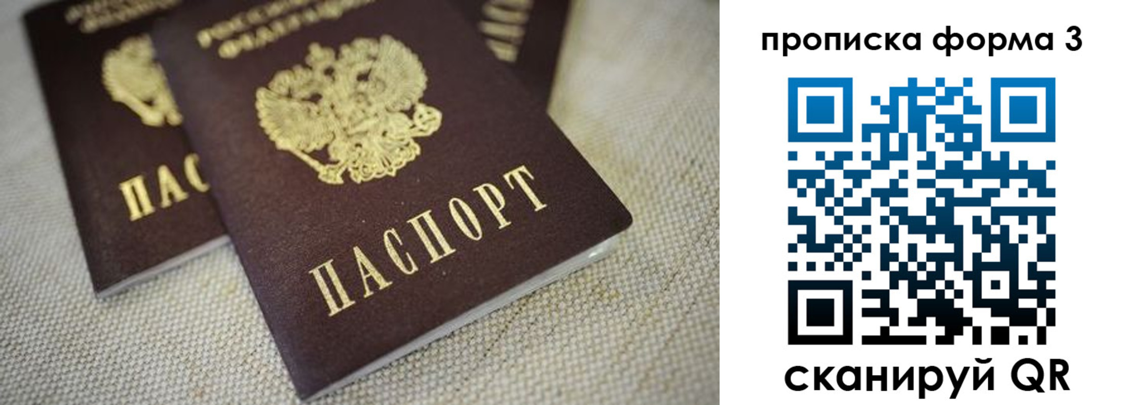 прописка поиск в Новоалександровске